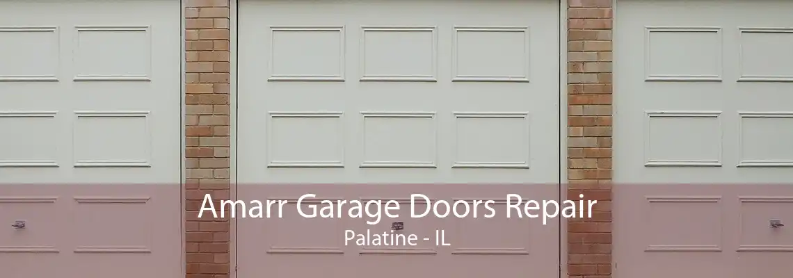 Amarr Garage Doors Repair Palatine - IL