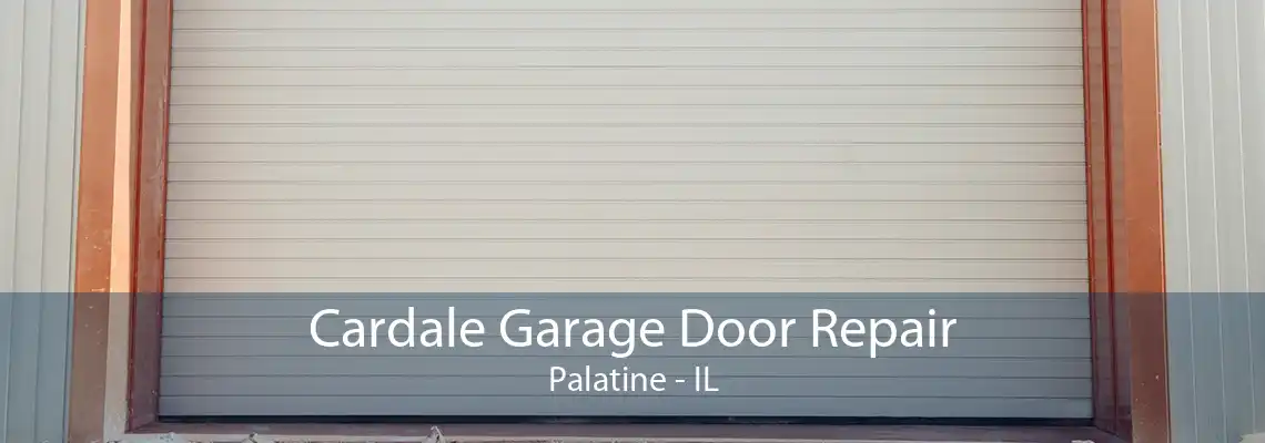 Cardale Garage Door Repair Palatine - IL