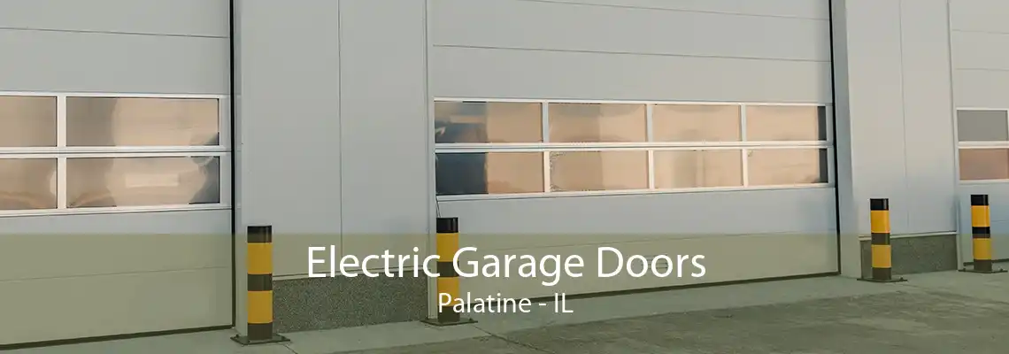 Electric Garage Doors Palatine - IL