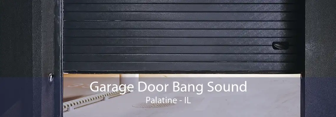 Garage Door Bang Sound Palatine - IL