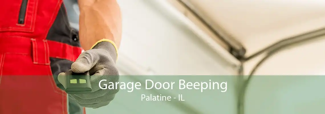 Garage Door Beeping Palatine - IL