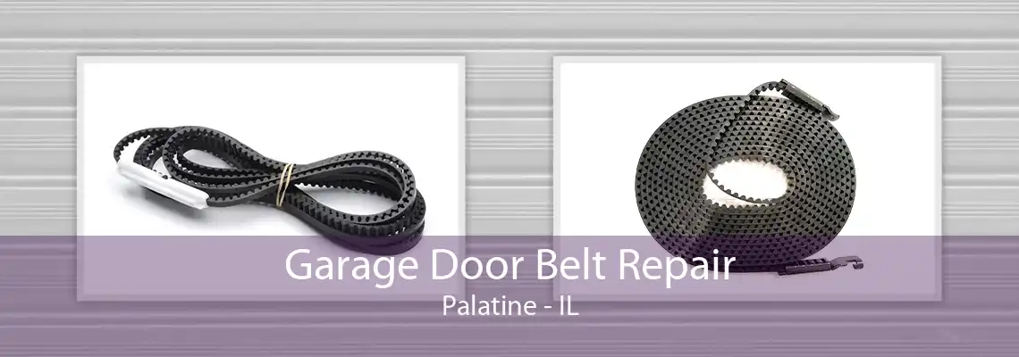 Garage Door Belt Repair Palatine - IL