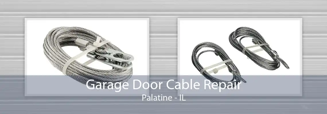 Garage Door Cable Repair Palatine - IL