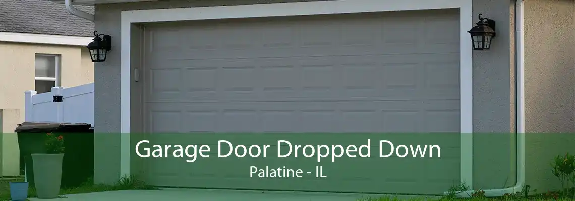 Garage Door Dropped Down Palatine - IL