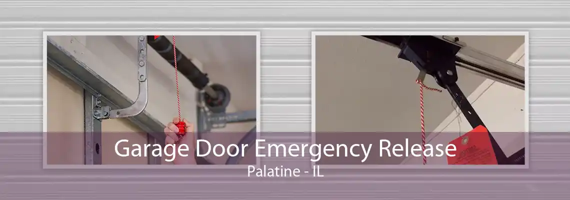 Garage Door Emergency Release Palatine - IL