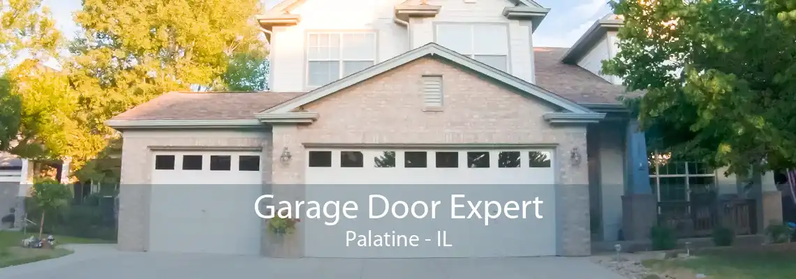 Garage Door Expert Palatine - IL