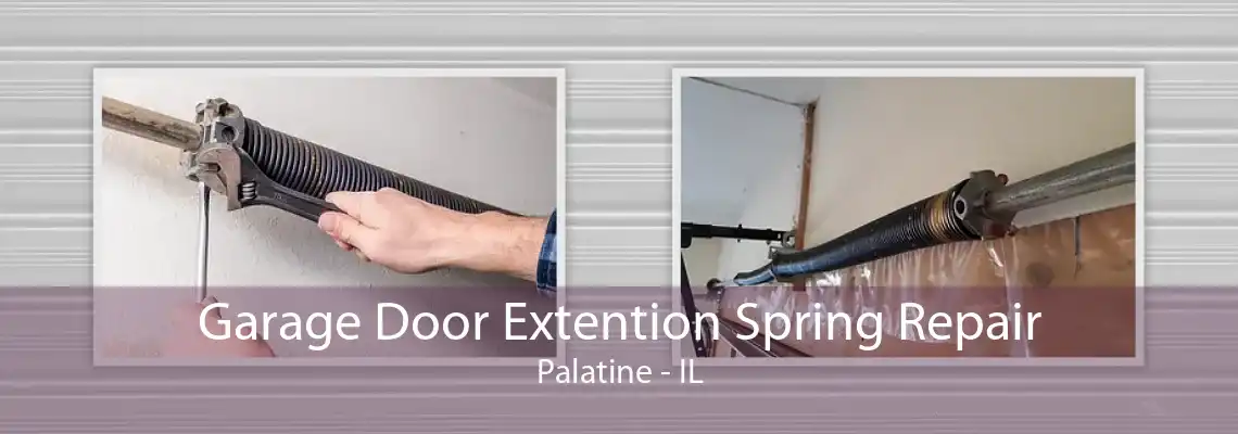 Garage Door Extention Spring Repair Palatine - IL