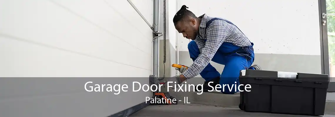 Garage Door Fixing Service Palatine - IL