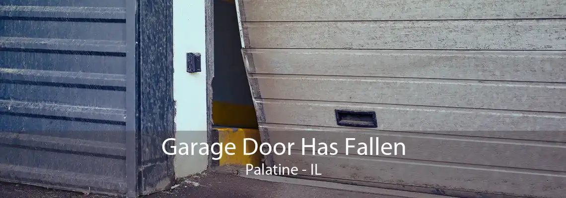 Garage Door Has Fallen Palatine - IL