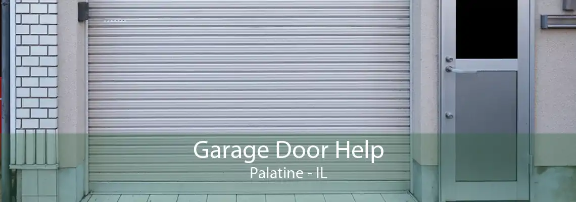 Garage Door Help Palatine - IL