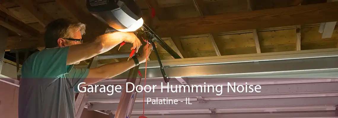 Garage Door Humming Noise Palatine - IL