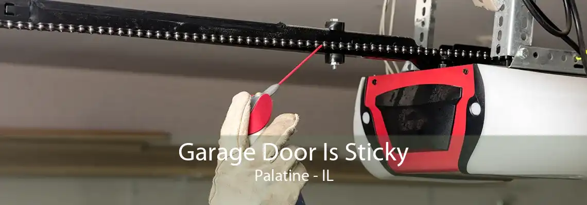 Garage Door Is Sticky Palatine - IL