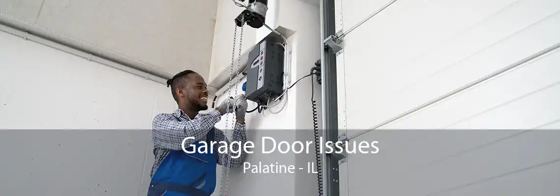 Garage Door Issues Palatine - IL