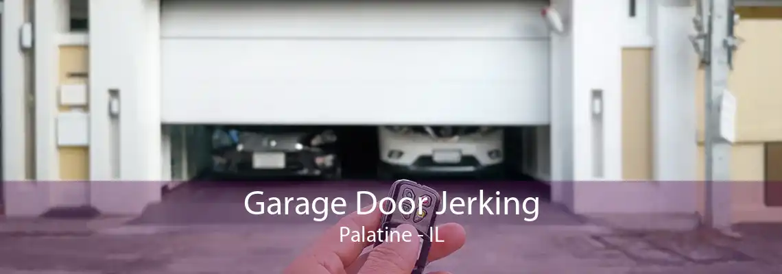 Garage Door Jerking Palatine - IL