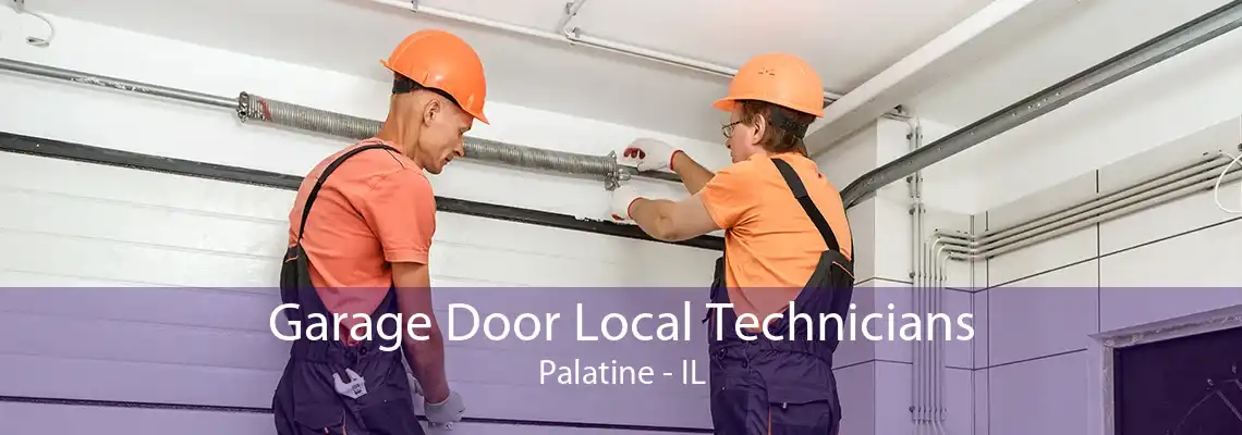 Garage Door Local Technicians Palatine - IL