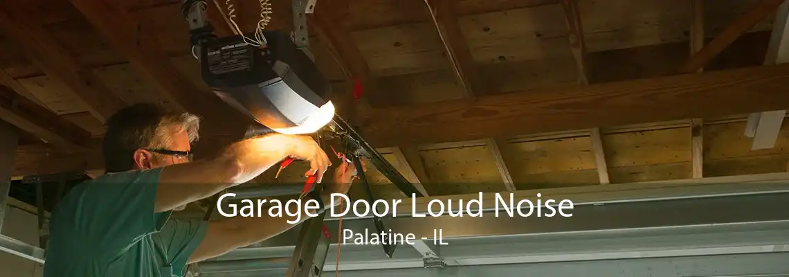 Garage Door Loud Noise Palatine - IL