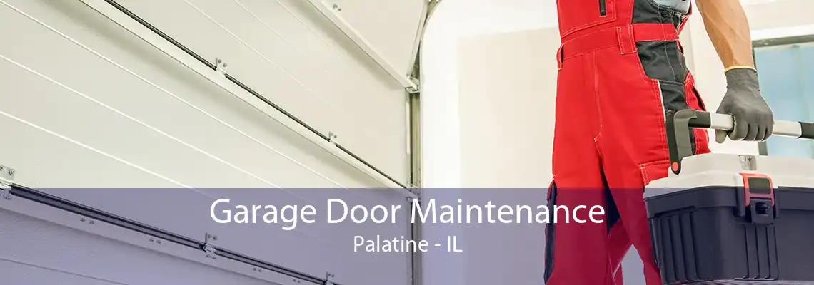 Garage Door Maintenance Palatine - IL