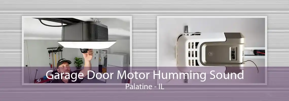 Garage Door Motor Humming Sound Palatine - IL