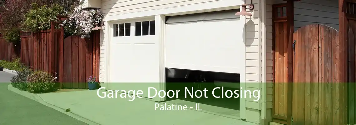 Garage Door Not Closing Palatine - IL