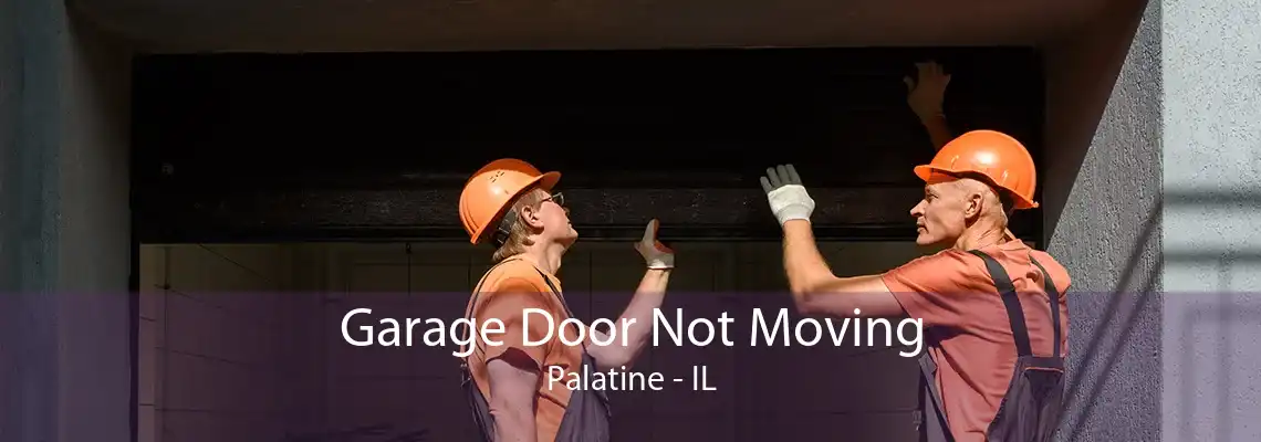 Garage Door Not Moving Palatine - IL