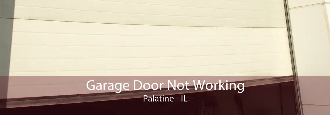 Garage Door Not Working Palatine - IL