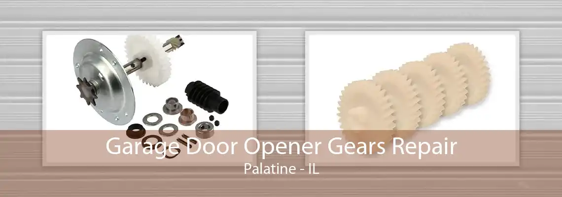 Garage Door Opener Gears Repair Palatine - IL