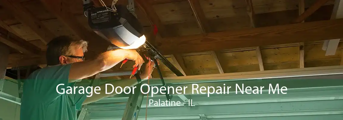 Garage Door Opener Repair Near Me Palatine - IL