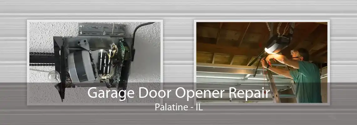 Garage Door Opener Repair Palatine - IL