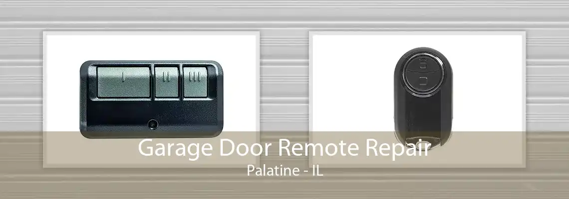 Garage Door Remote Repair Palatine - IL