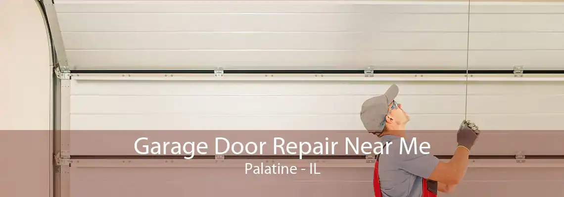 Garage Door Repair Near Me Palatine - IL