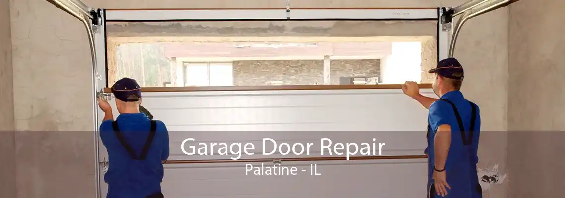 Garage Door Repair Palatine - IL