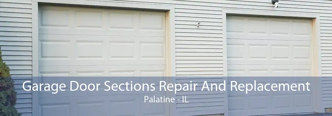 Garage Door Sections Repair And Replacement Palatine - IL