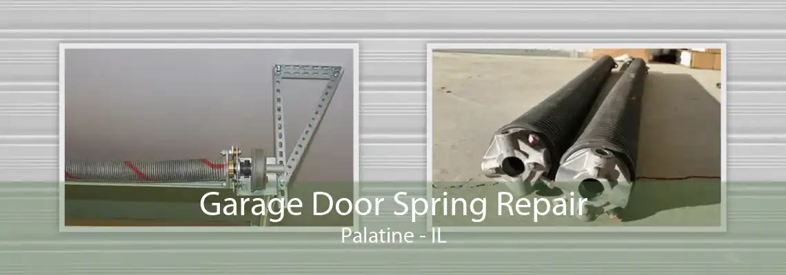 Garage Door Spring Repair Palatine - IL