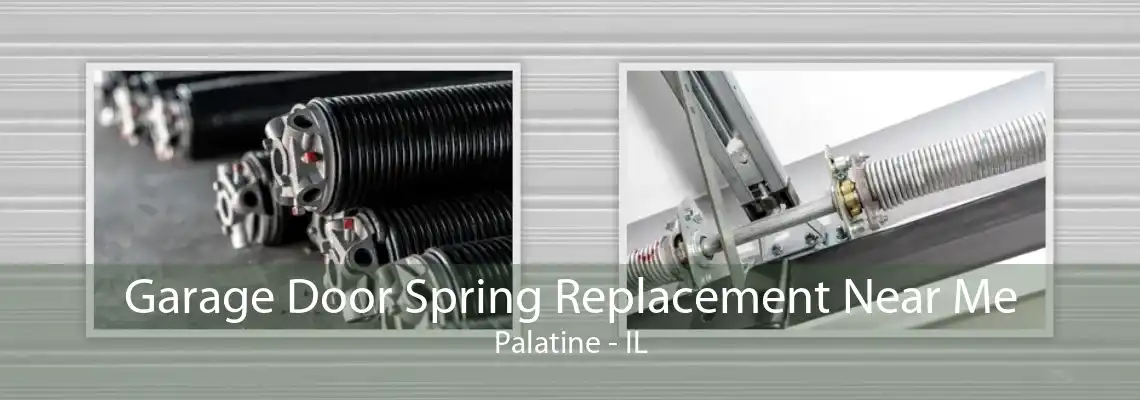 Garage Door Spring Replacement Near Me Palatine - IL