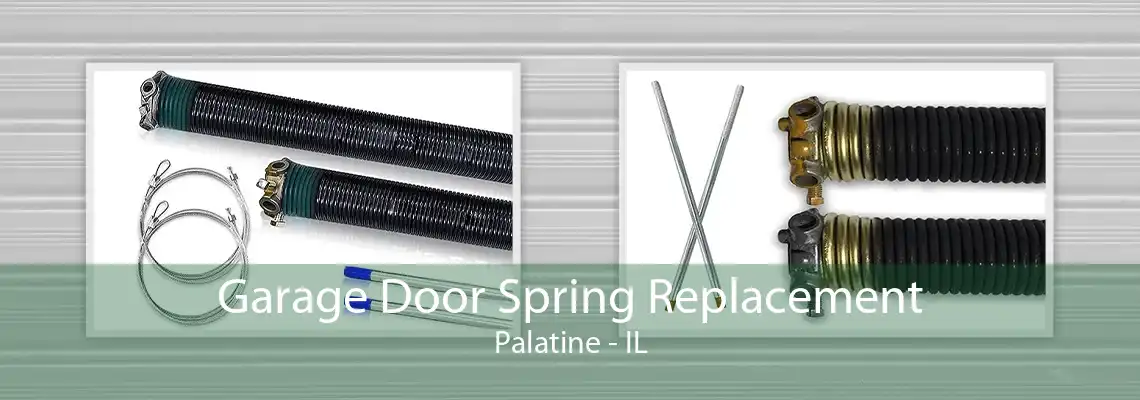 Garage Door Spring Replacement Palatine - IL