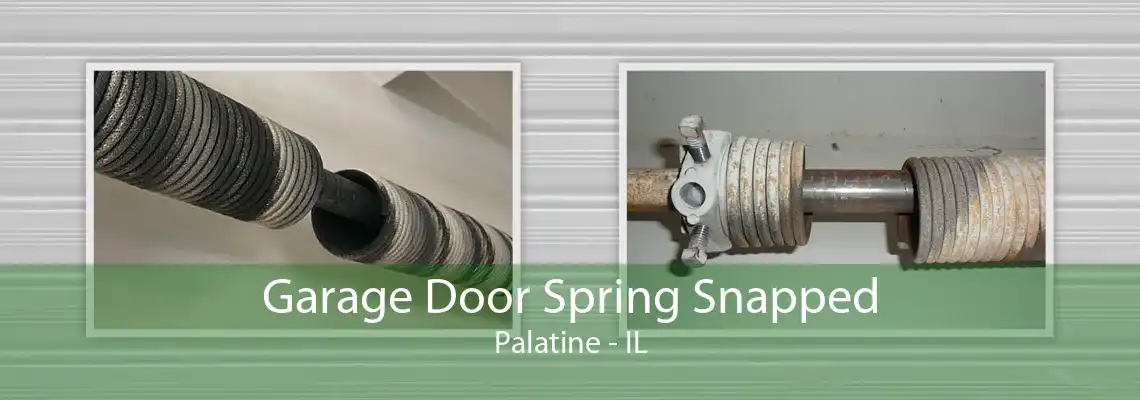 Garage Door Spring Snapped Palatine - IL