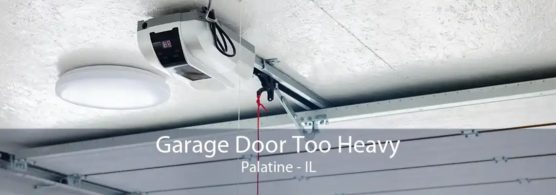 Garage Door Too Heavy Palatine - IL