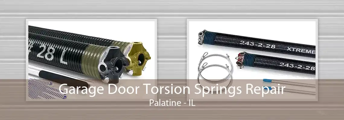 Garage Door Torsion Springs Repair Palatine - IL