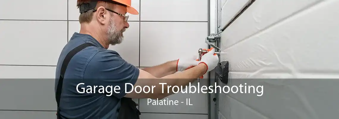 Garage Door Troubleshooting Palatine - IL