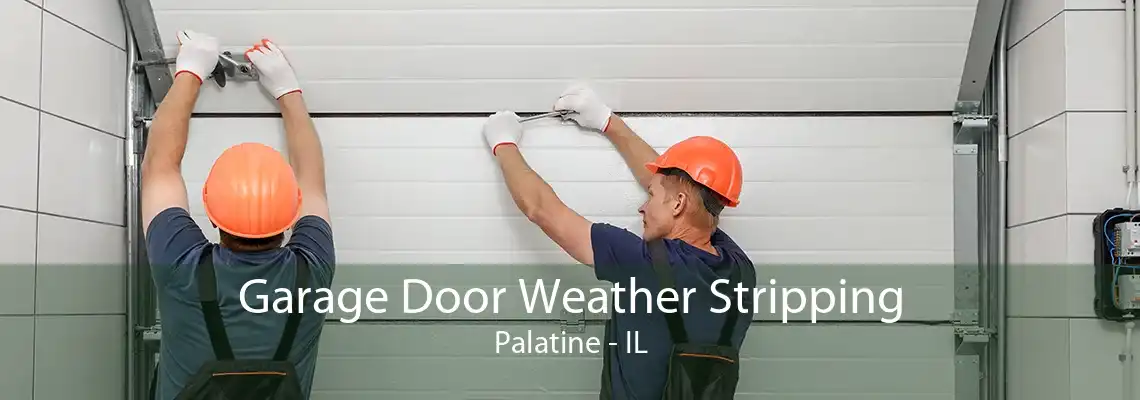 Garage Door Weather Stripping Palatine - IL