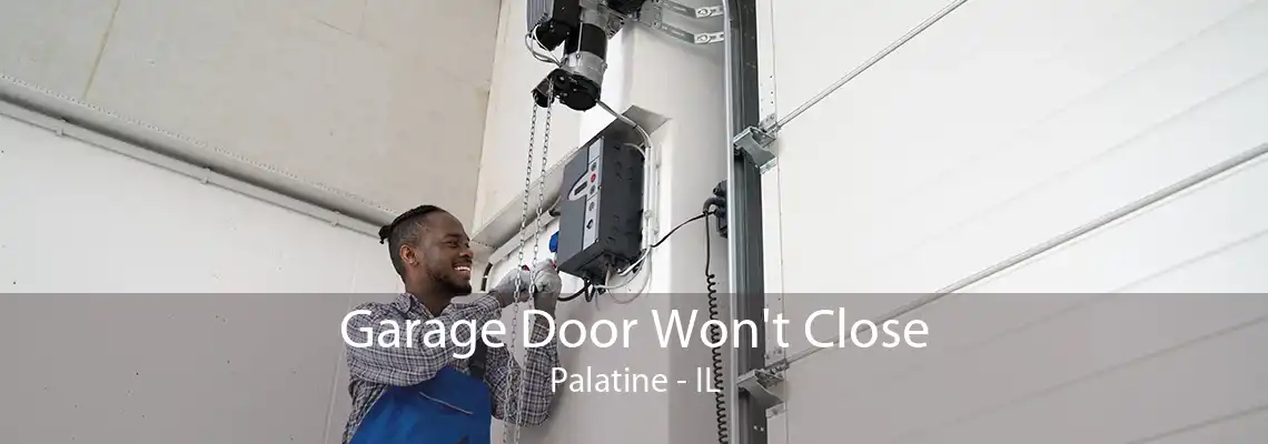 Garage Door Won't Close Palatine - IL