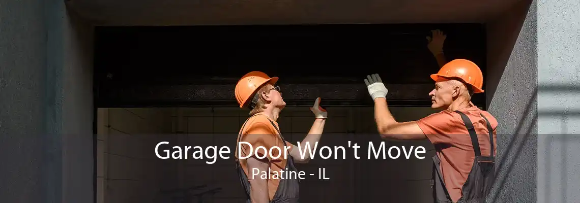 Garage Door Won't Move Palatine - IL