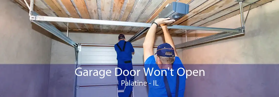 Garage Door Won't Open Palatine - IL