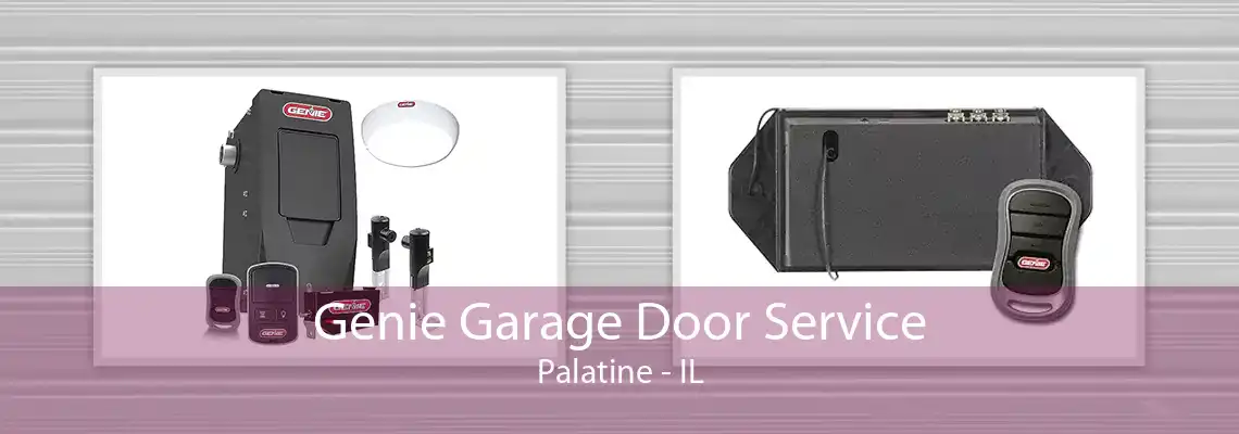 Genie Garage Door Service Palatine - IL