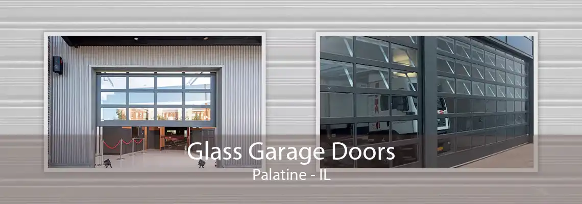 Glass Garage Doors Palatine - IL