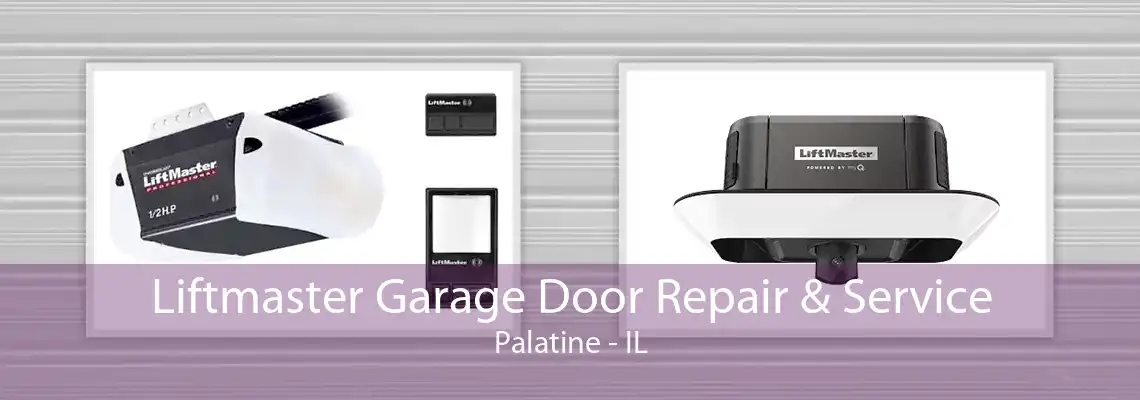 Liftmaster Garage Door Repair & Service Palatine - IL