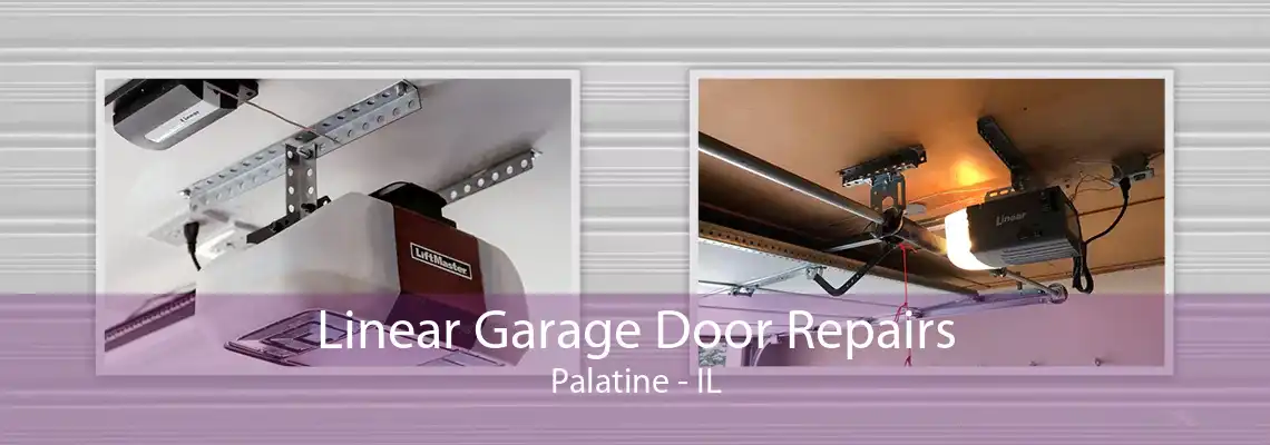 Linear Garage Door Repairs Palatine - IL