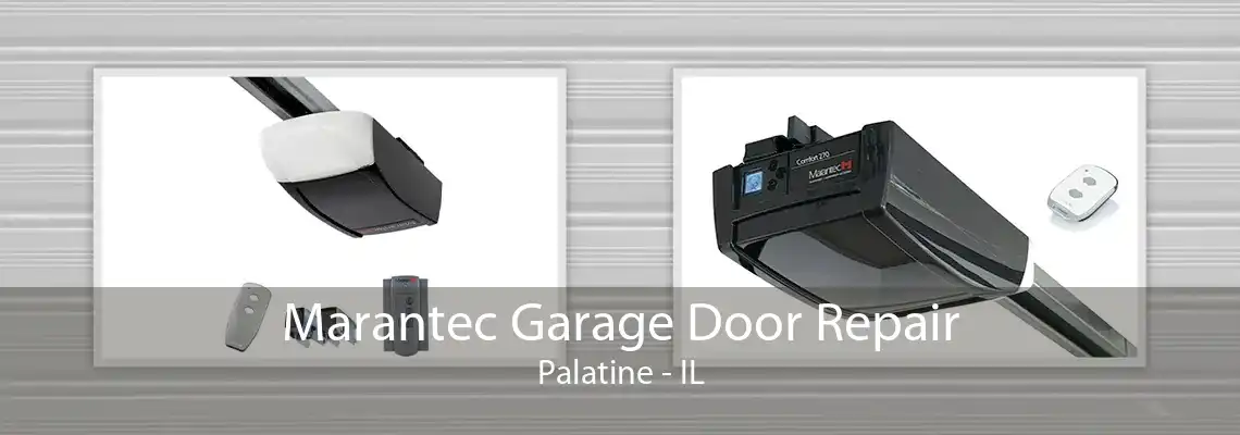 Marantec Garage Door Repair Palatine - IL