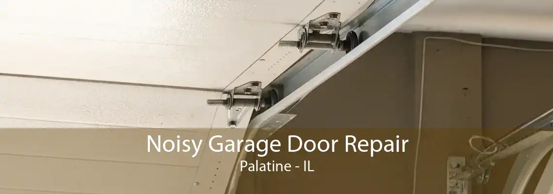 Noisy Garage Door Repair Palatine - IL