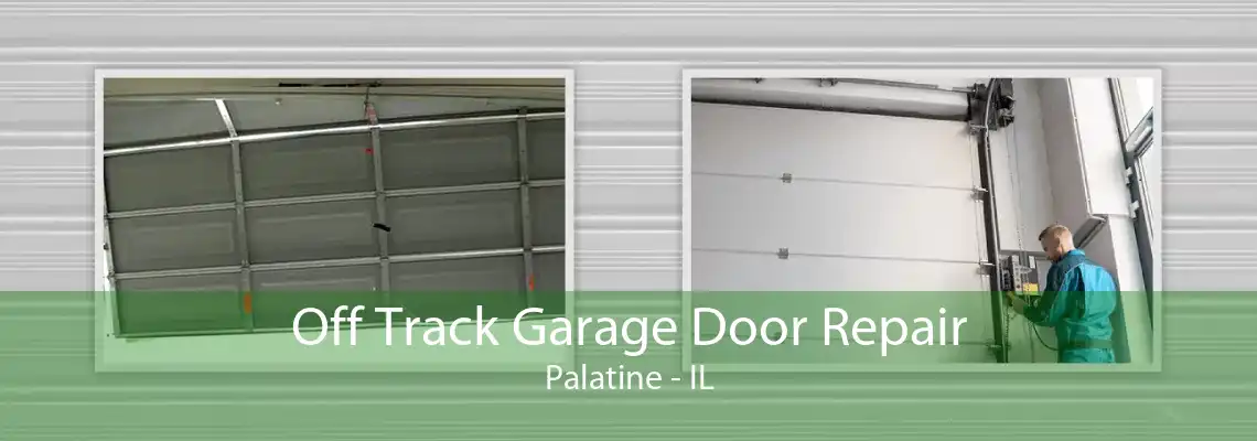 Off Track Garage Door Repair Palatine - IL